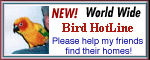 Bird Hotline