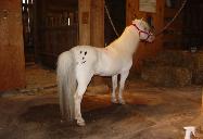 Scott Creek Tattoo at age 21